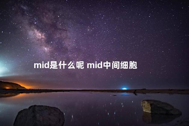 mid是什么呢 mid中间细胞